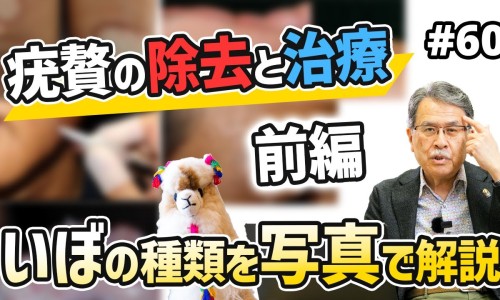 黄米和小米的功效与作用-黄米与小米的营养区别网 | 黄米与小米的营养区别是什么,黄米与小米的营养区别是什么